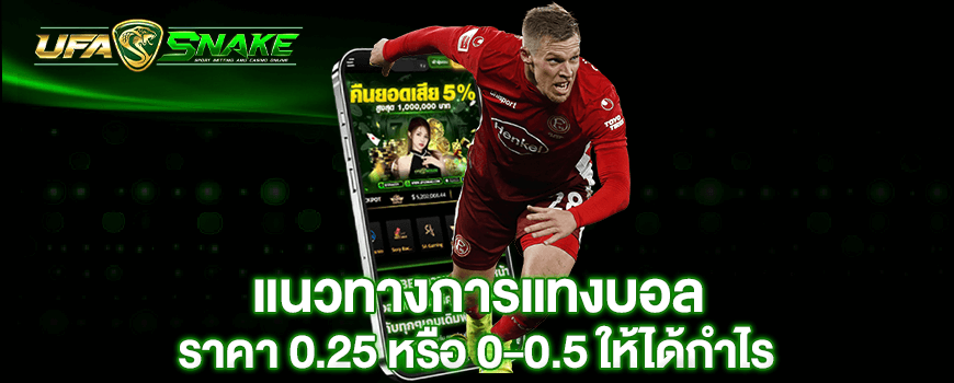 แนวทางการแทงบอล ราคาบอล 0.25 หรือ 0-0.5